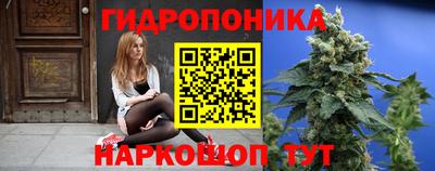 амф Жуковский