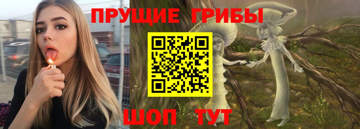 Михайловка  Галлюциногенные грибы MAGIC MUSHROOMS  Вход с VPN  Галлюциногенные грибы ЛСД 